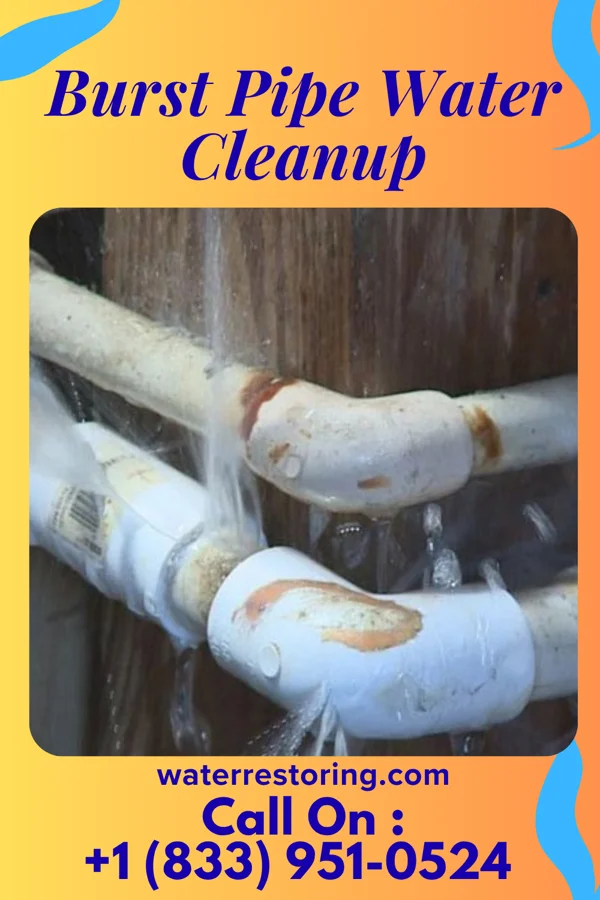 Burst Pipe Water Cleanup in Gassaway, WV