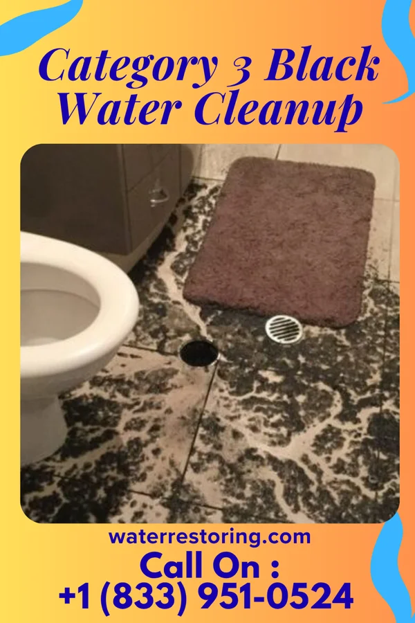 Category 3 Black Water Cleanup in Gassaway, WV