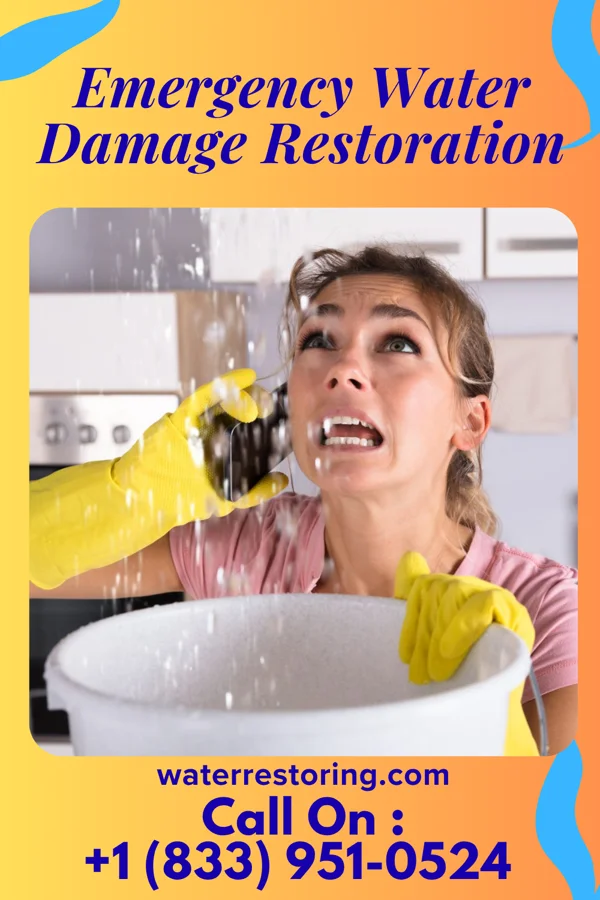 Emergency Water Damage Restoration in Gassaway, WV