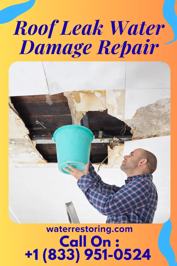 Roof Leak Water Damage Repair in Gassaway, WV